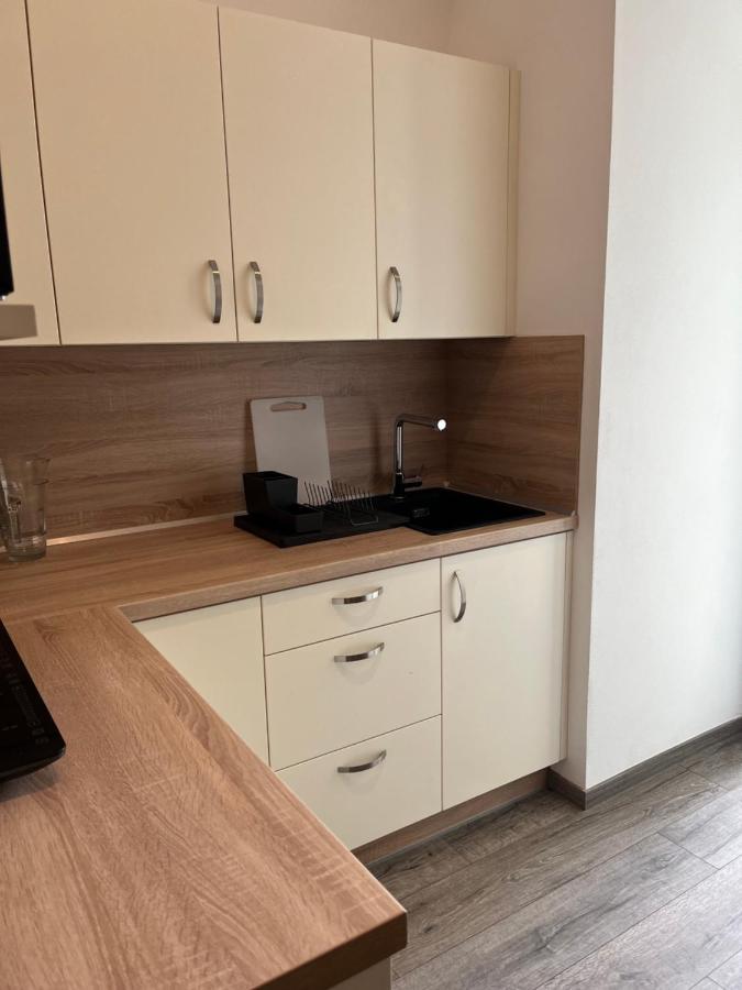 Moderni Apartman Uprostred Sumavske Prirody Zdikovec Extérieur photo